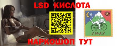 прущие крисы Камышлов