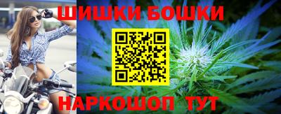 прущие крисы Камышлов