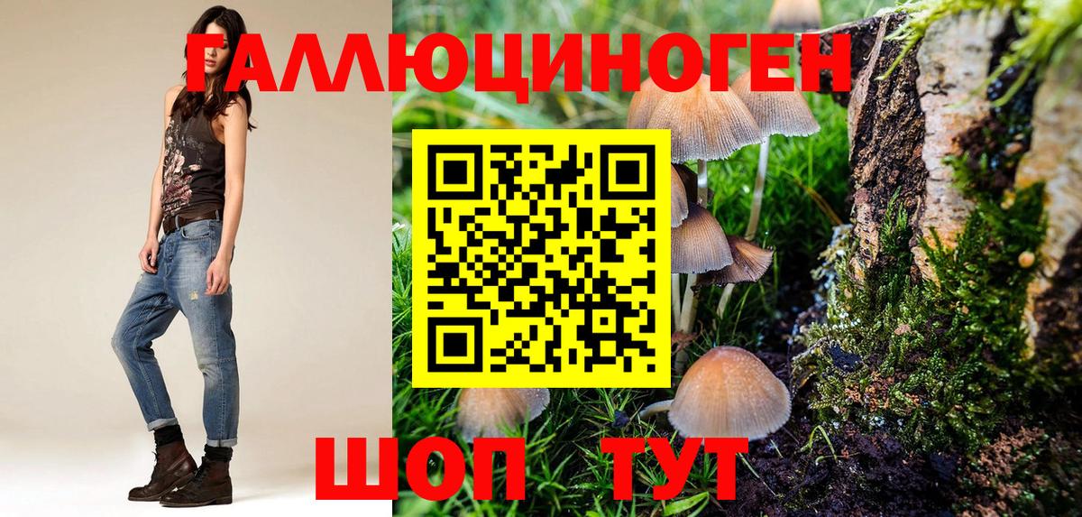 Галлюциногенные грибы прущие грибы Элиста