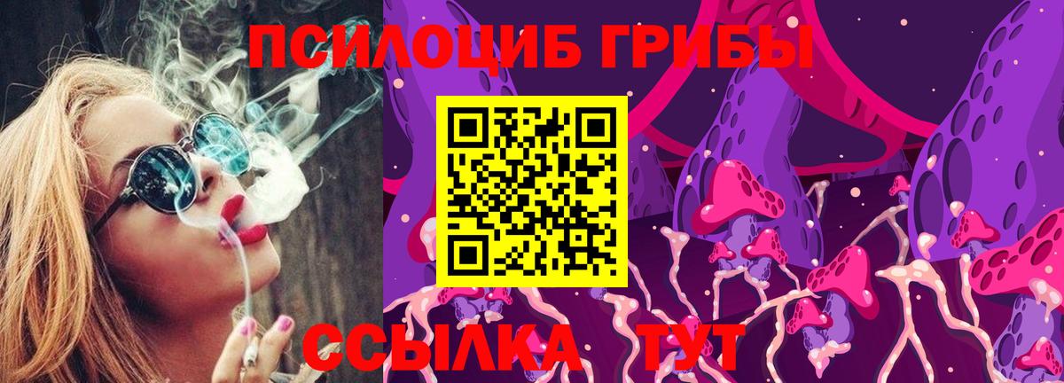 Элиста  Псилоцибиновые грибы Magic Shrooms  Вход с VPN 